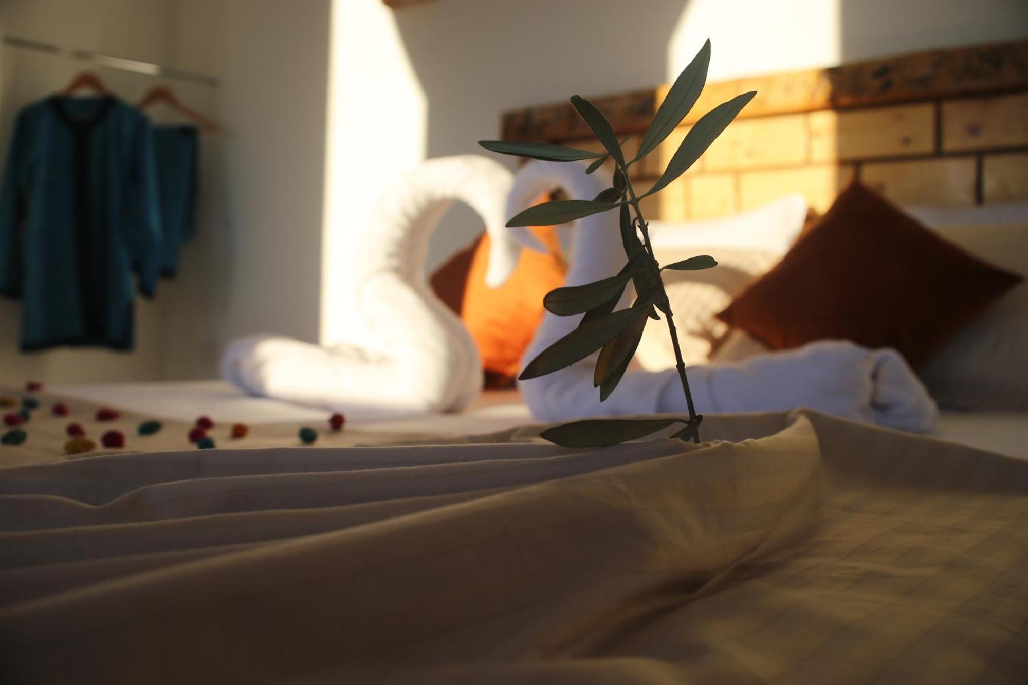 Haven Hills Social Club Hotell Chefchaouen Eksteriør bilde