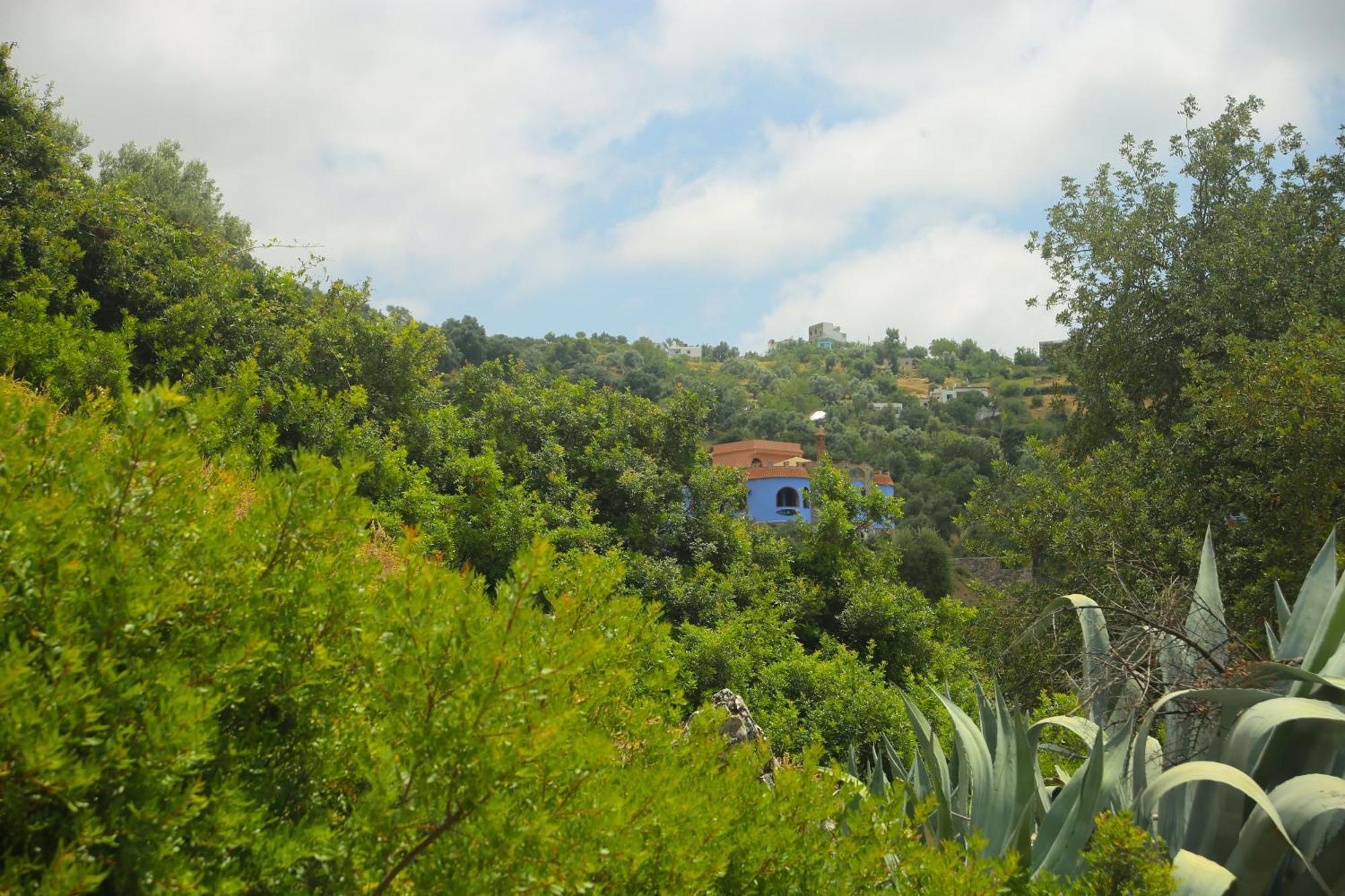 Haven Hills Social Club Hotell Chefchaouen Eksteriør bilde