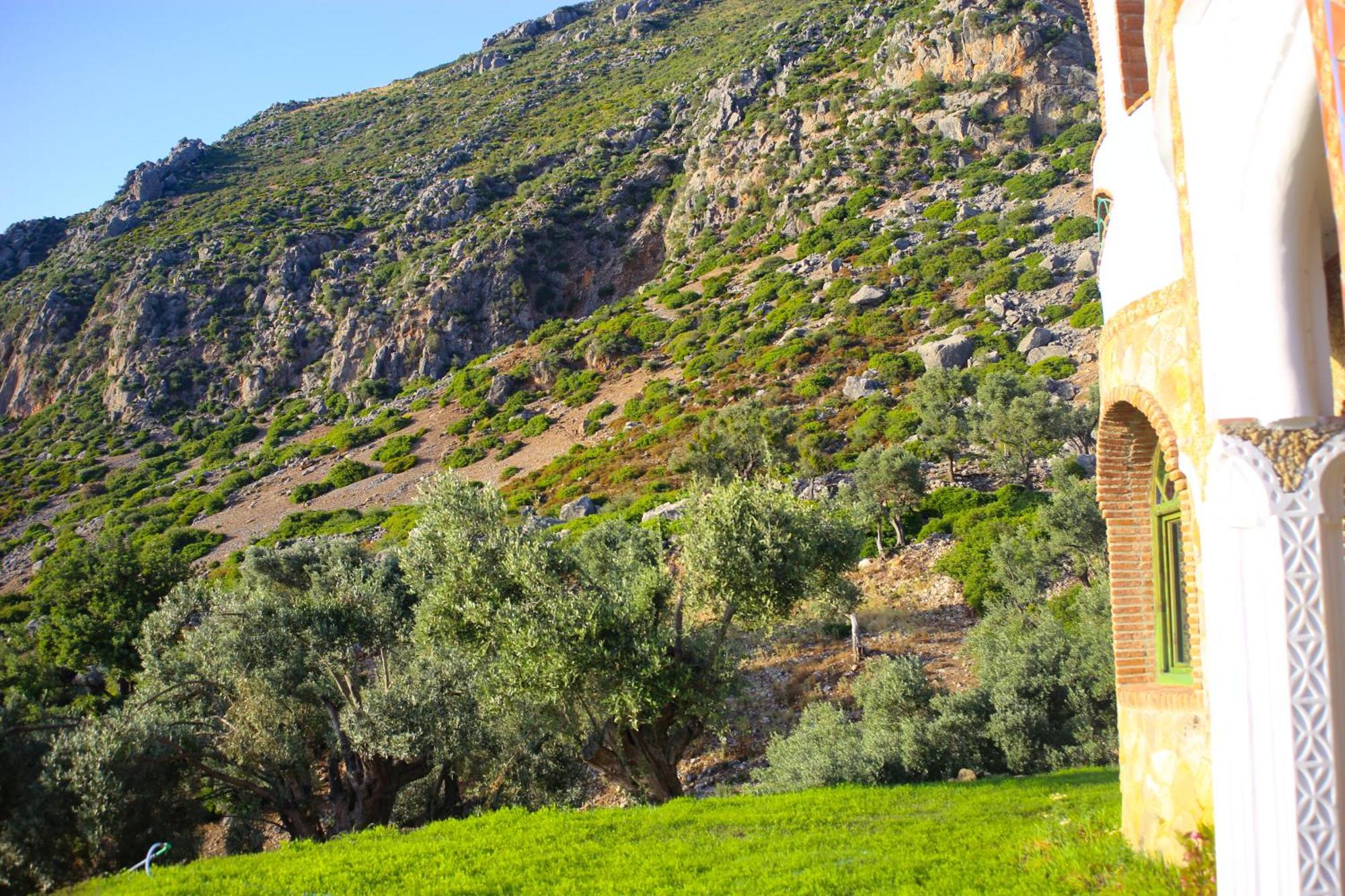Haven Hills Social Club Hotell Chefchaouen Eksteriør bilde